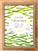 asupara-tea04